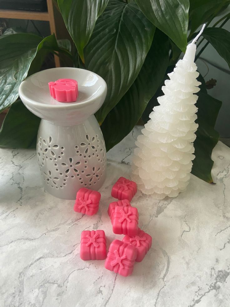 Wax  Melts (12 unidades) + Quemador